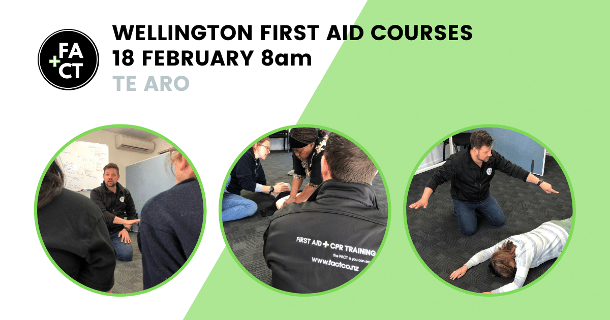 Wellington First Aid Course FACT Co.